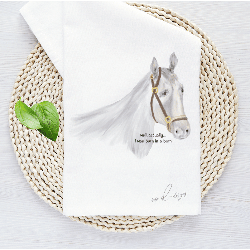 HORSE BORN IN BARN WICKER