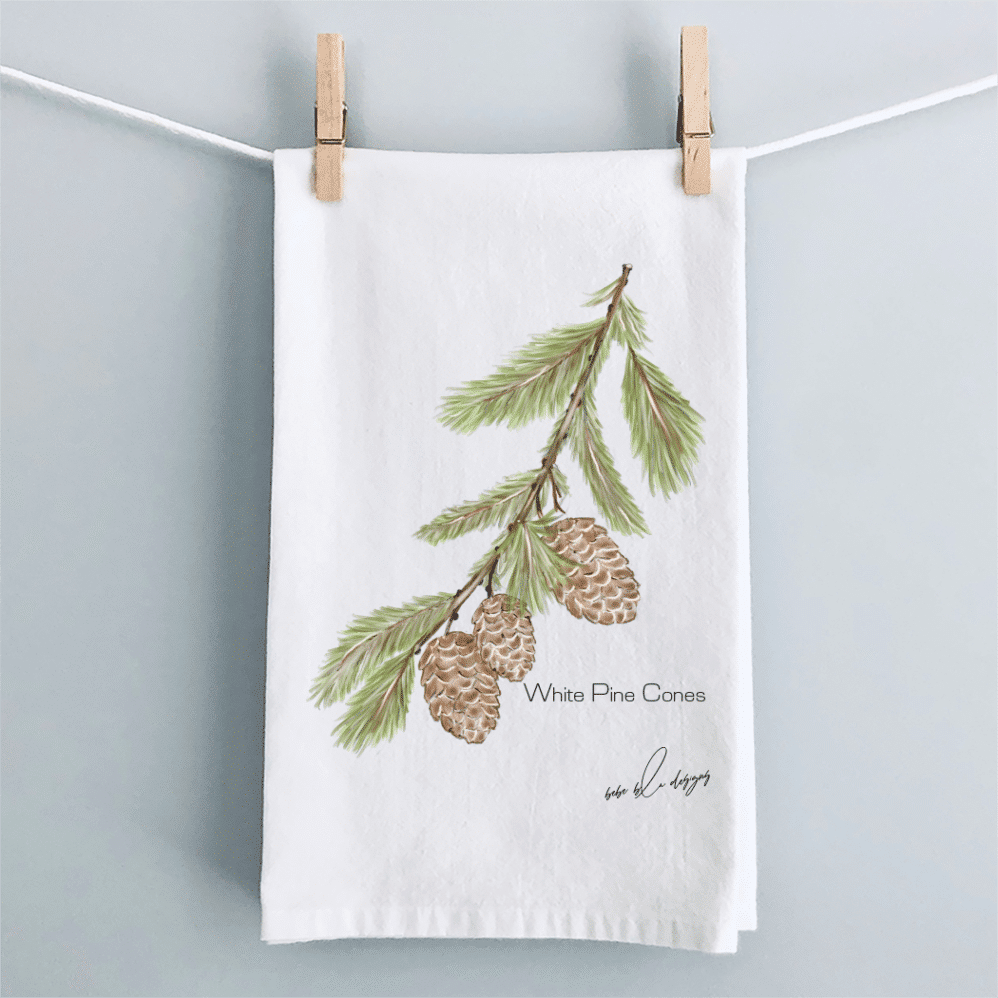 WHITE PINE CONES CLOTHESLINE