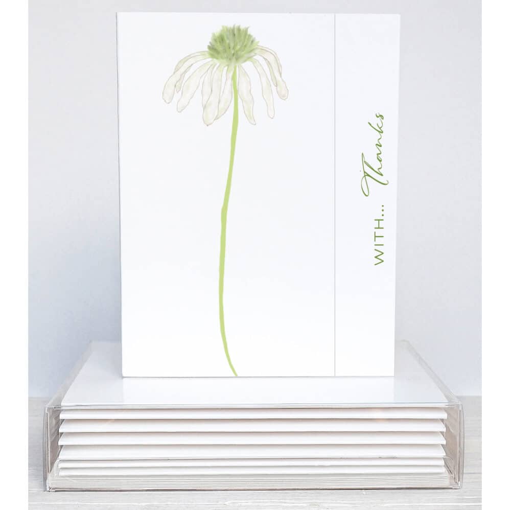 WHITE SWAN CONEFLOWER THANK YOU NOTES