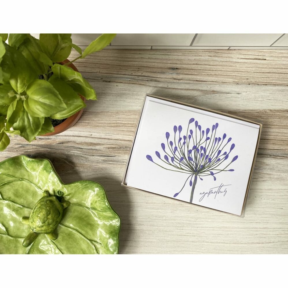 agapanthus note card box