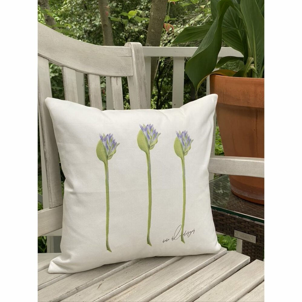 agapanthus bud pillow