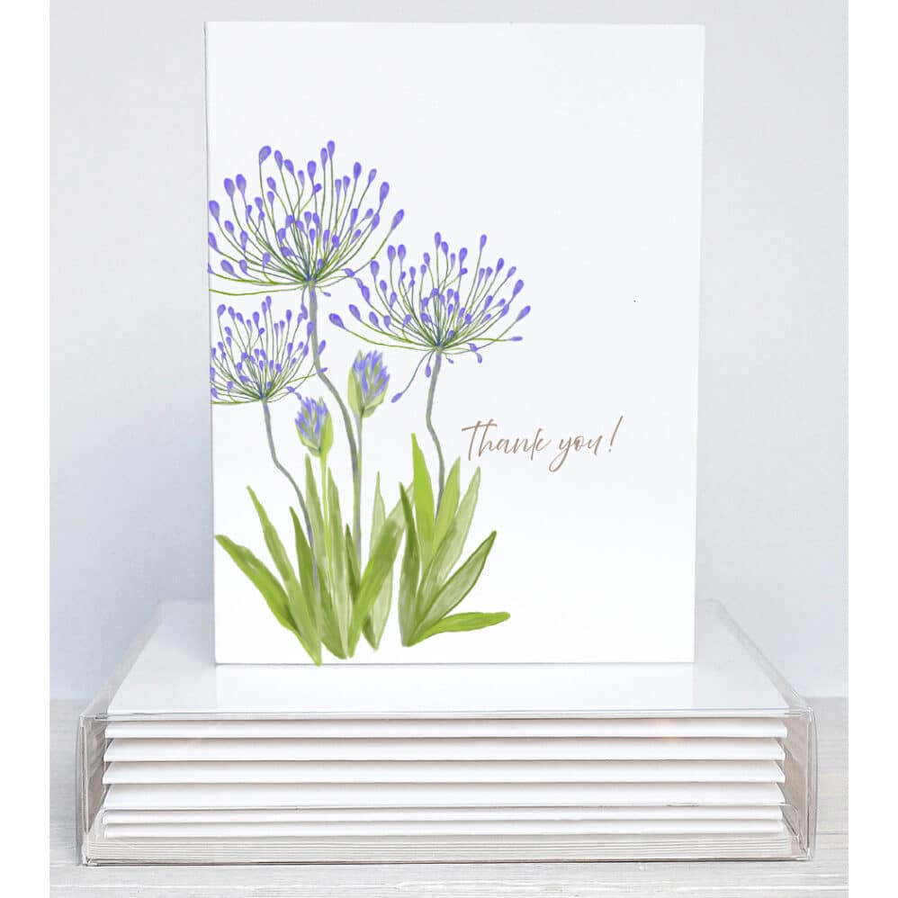 agapanthus bunch note cards