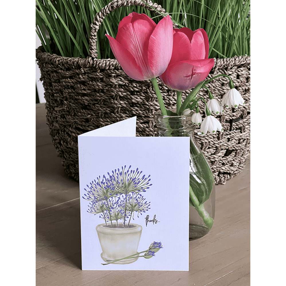 potted agapanthus note cards