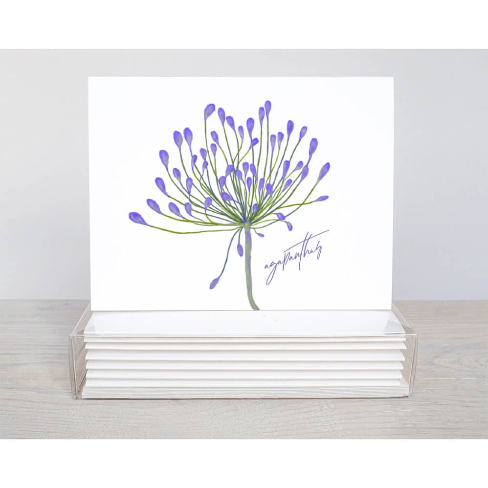 agapanthus note card