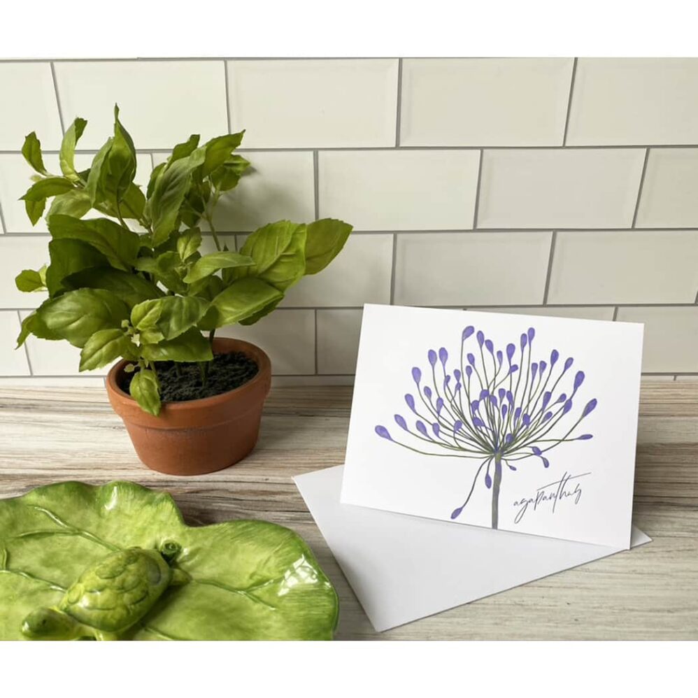 agapanthus note card set