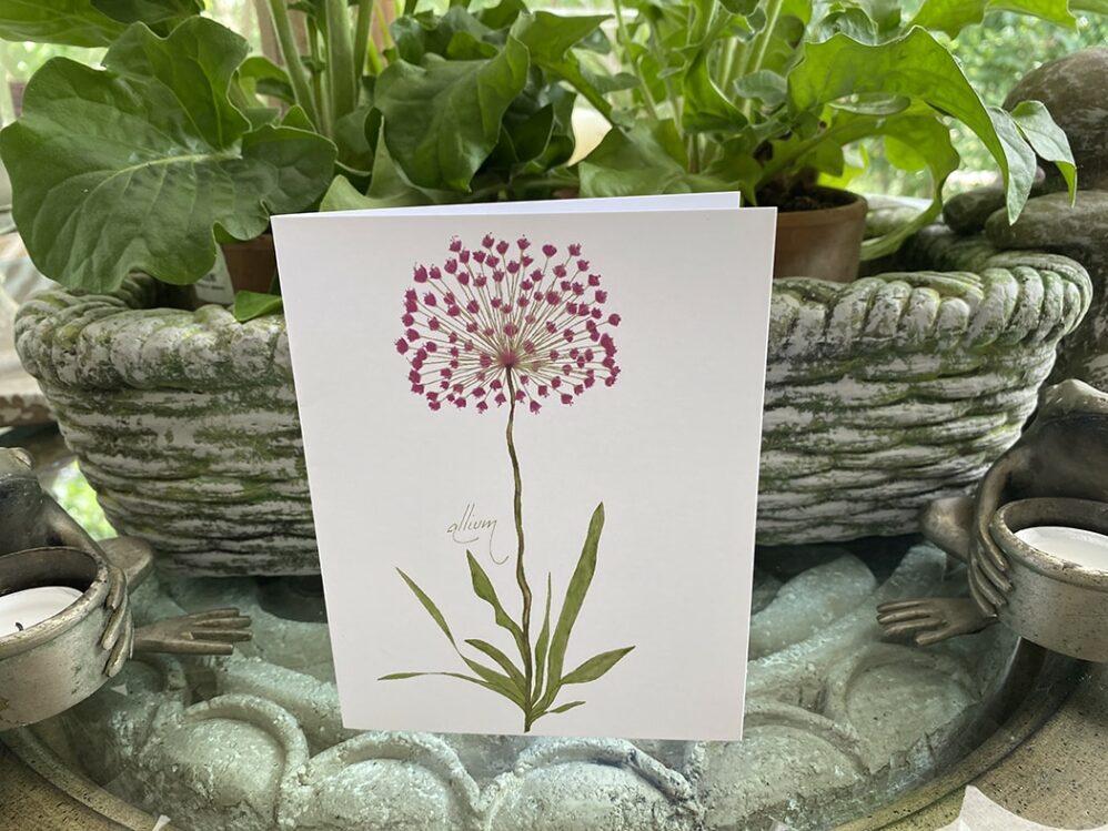 allium note card