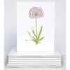 a single pink allium with green leaves coming up from the bottom on a note card