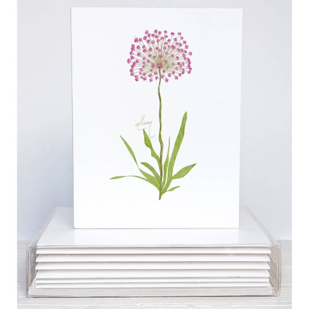 allium note card