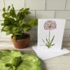 allium note card