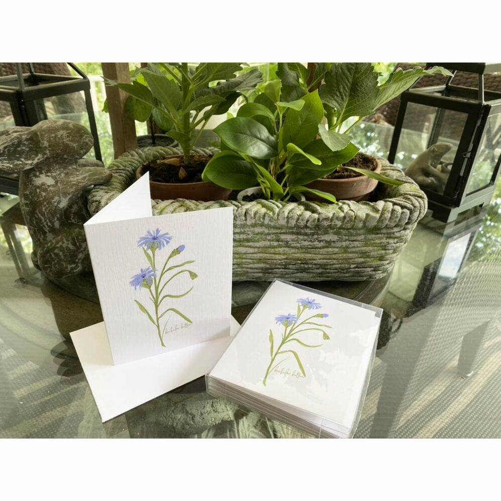 bachelor button note cards