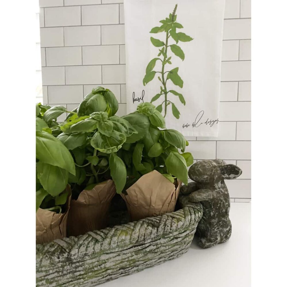 basil flour sack towel