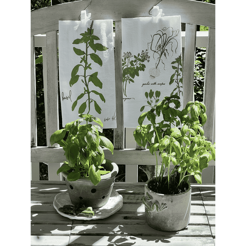 basil and herb flour sack towels