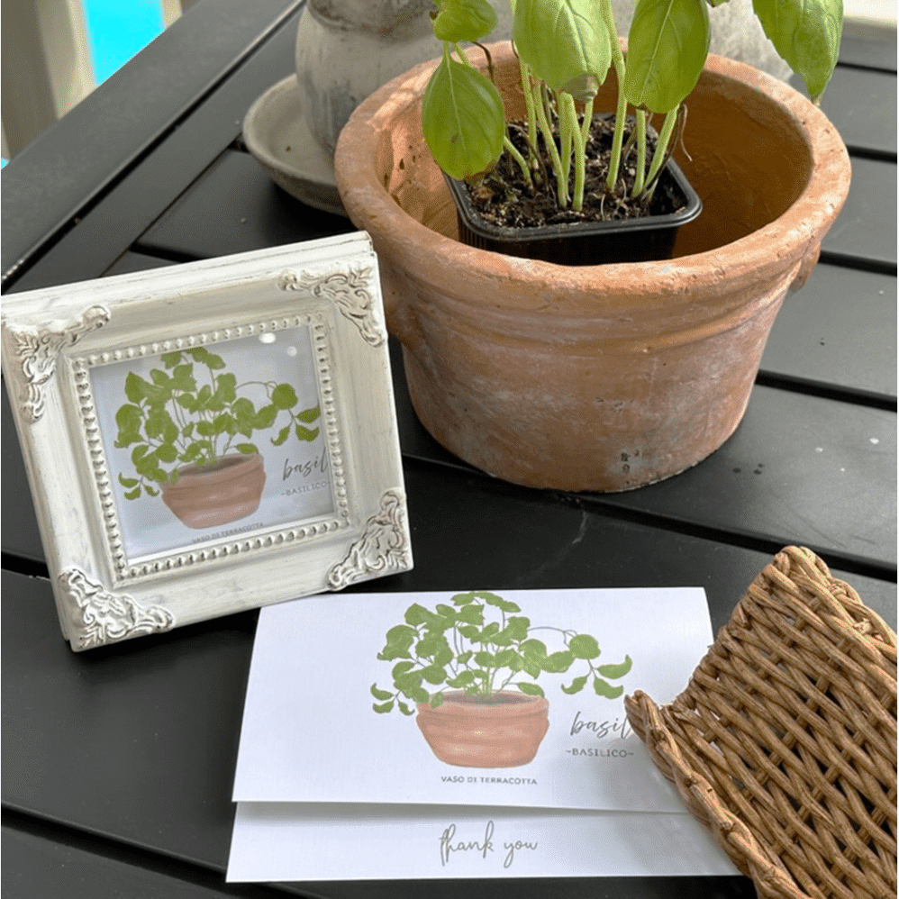 basil basilico card two