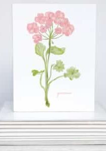 pink geranium with green leaves note card