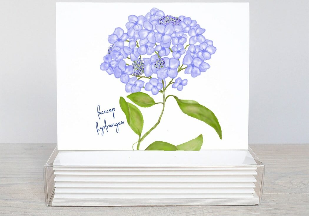 a light purple lacecap hydrangea note card