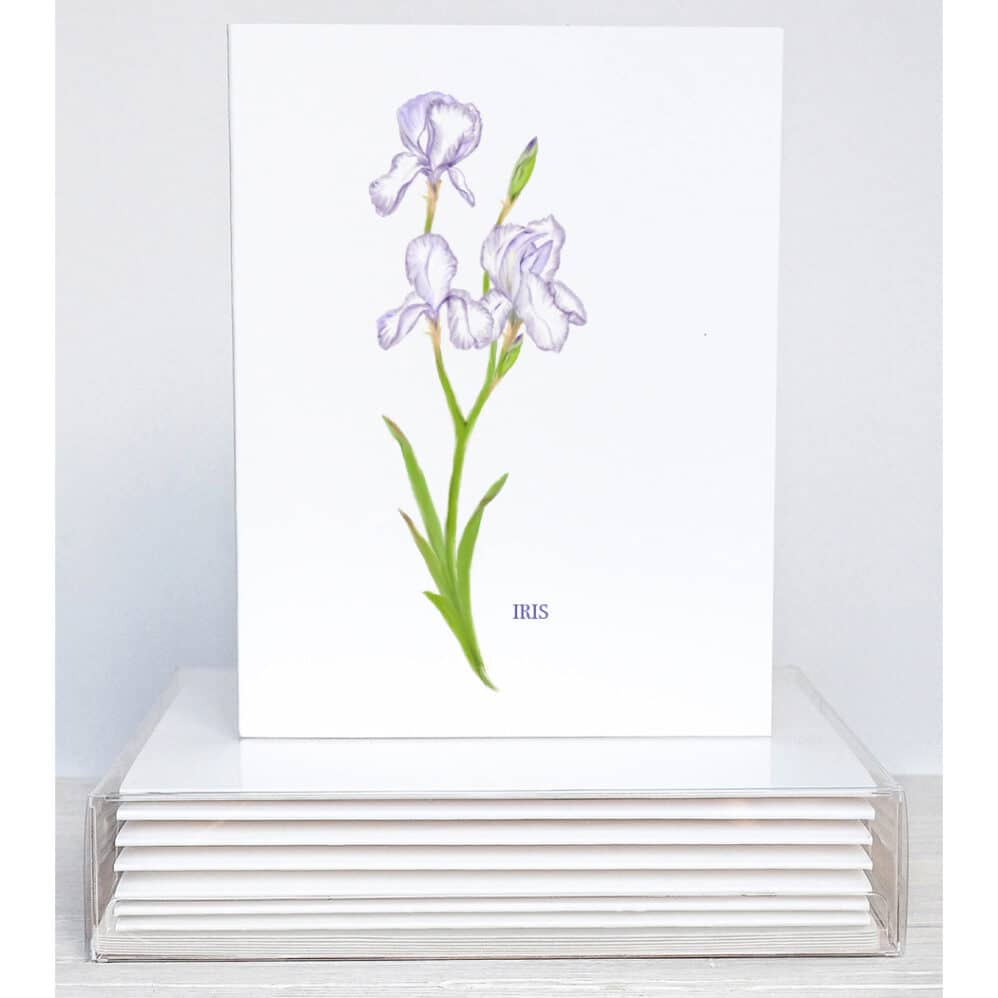 bearded iris note cards