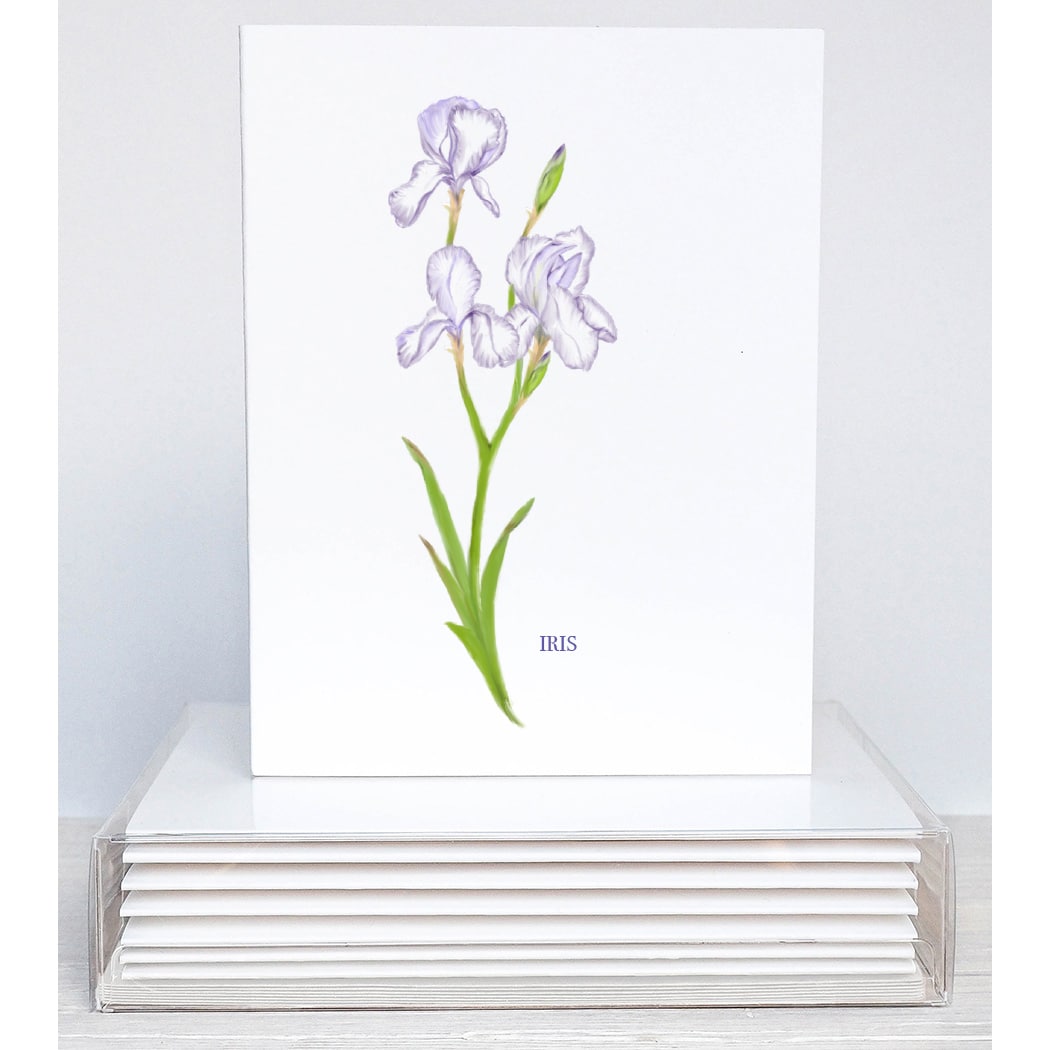 bearded iris note cards