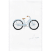 light blue bicycle