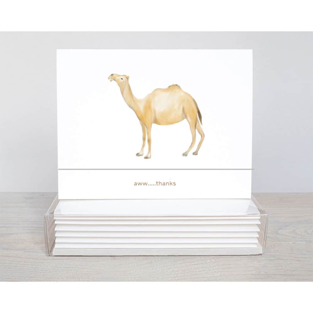 camel aww thanks note card