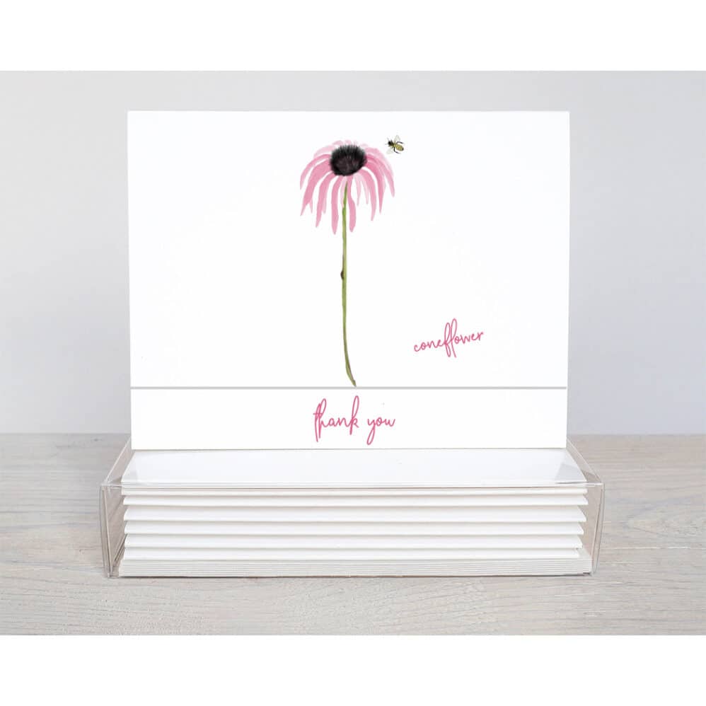 coneflower thank you note card