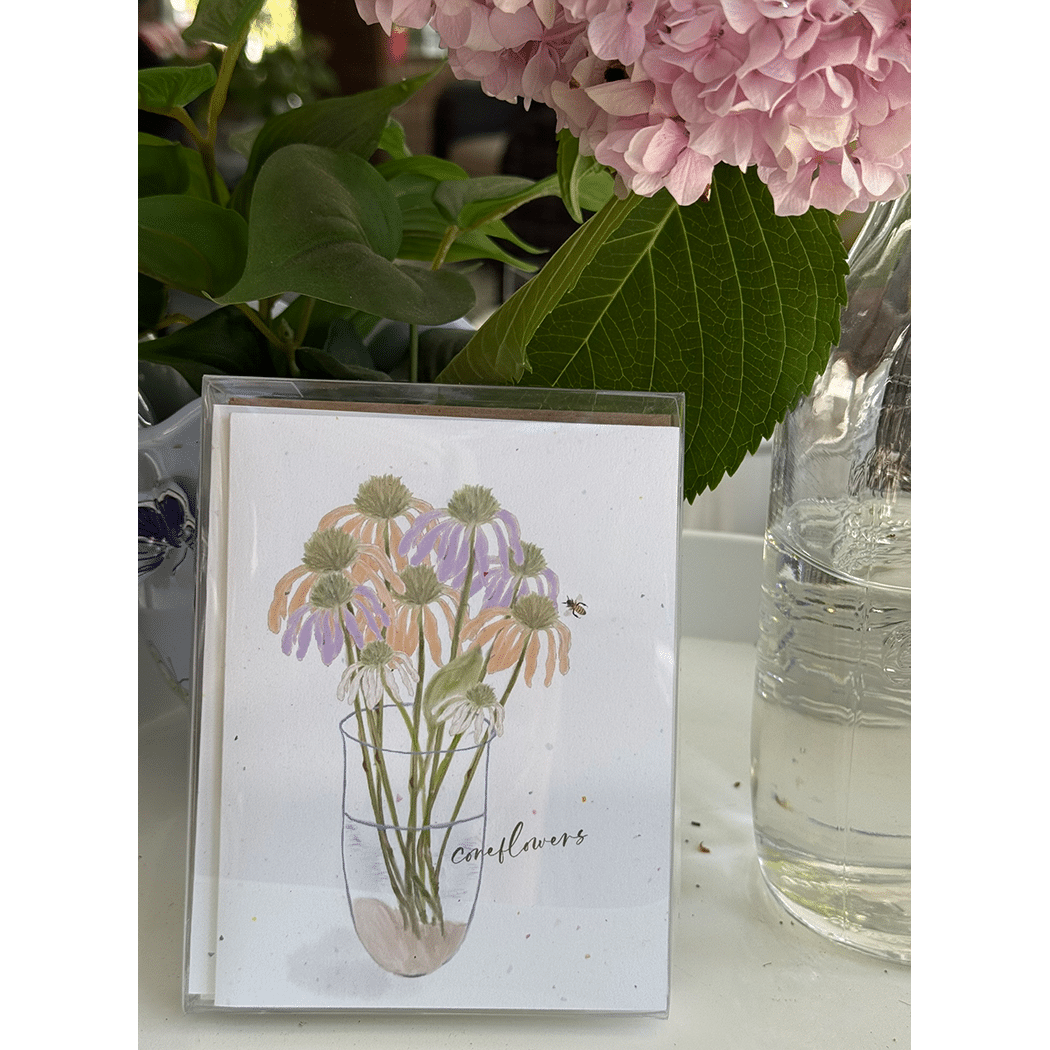 conflower bouquet boxed cards