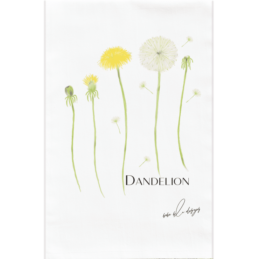 The five stages of dandelion on a flour sack towel