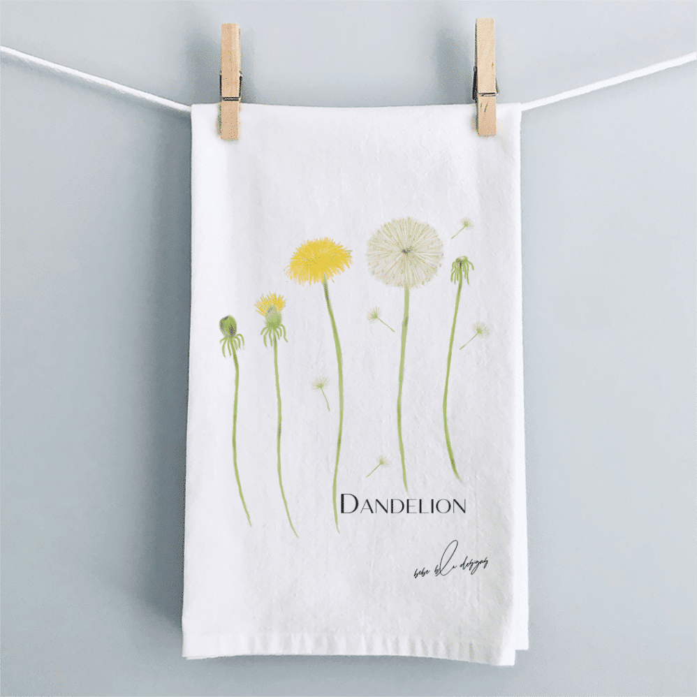 dandelion onClothesLine3 smaller copy
