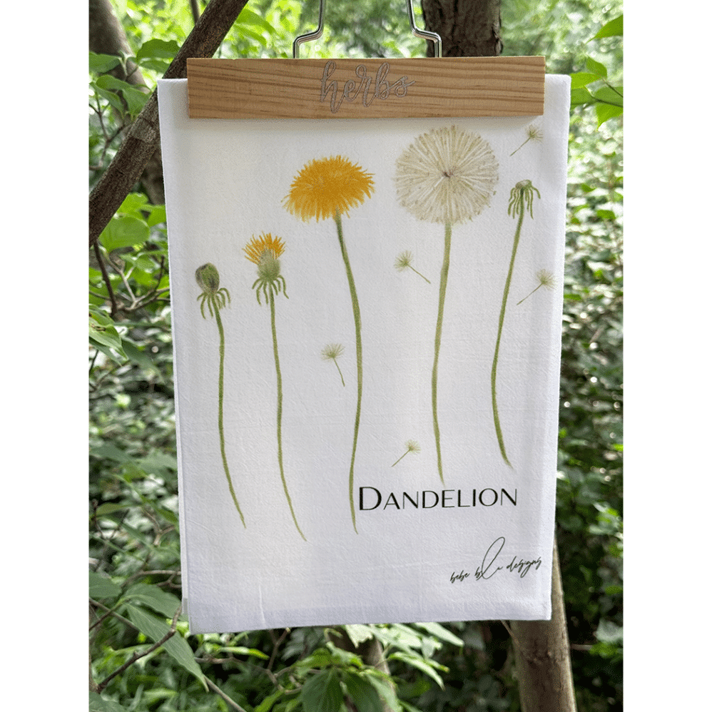 dandelion outside