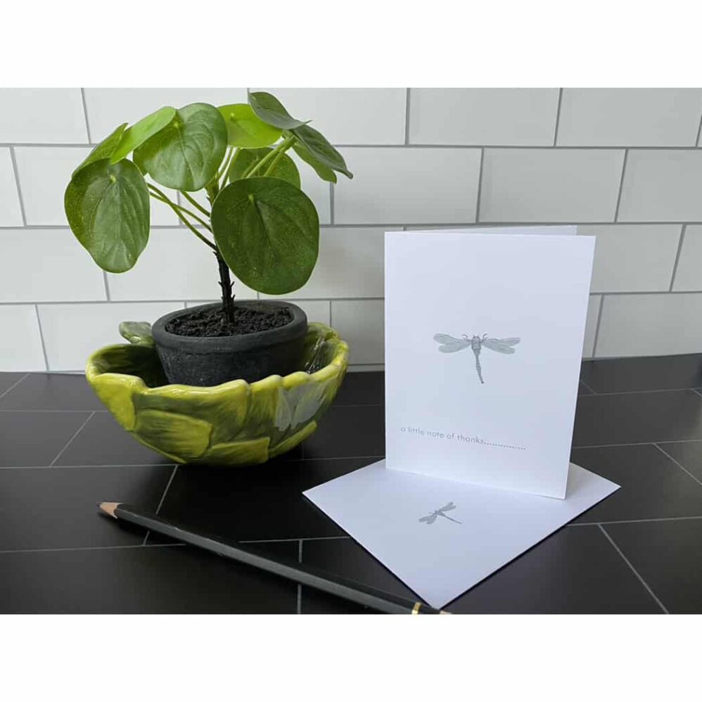 dragonfly petite note cards