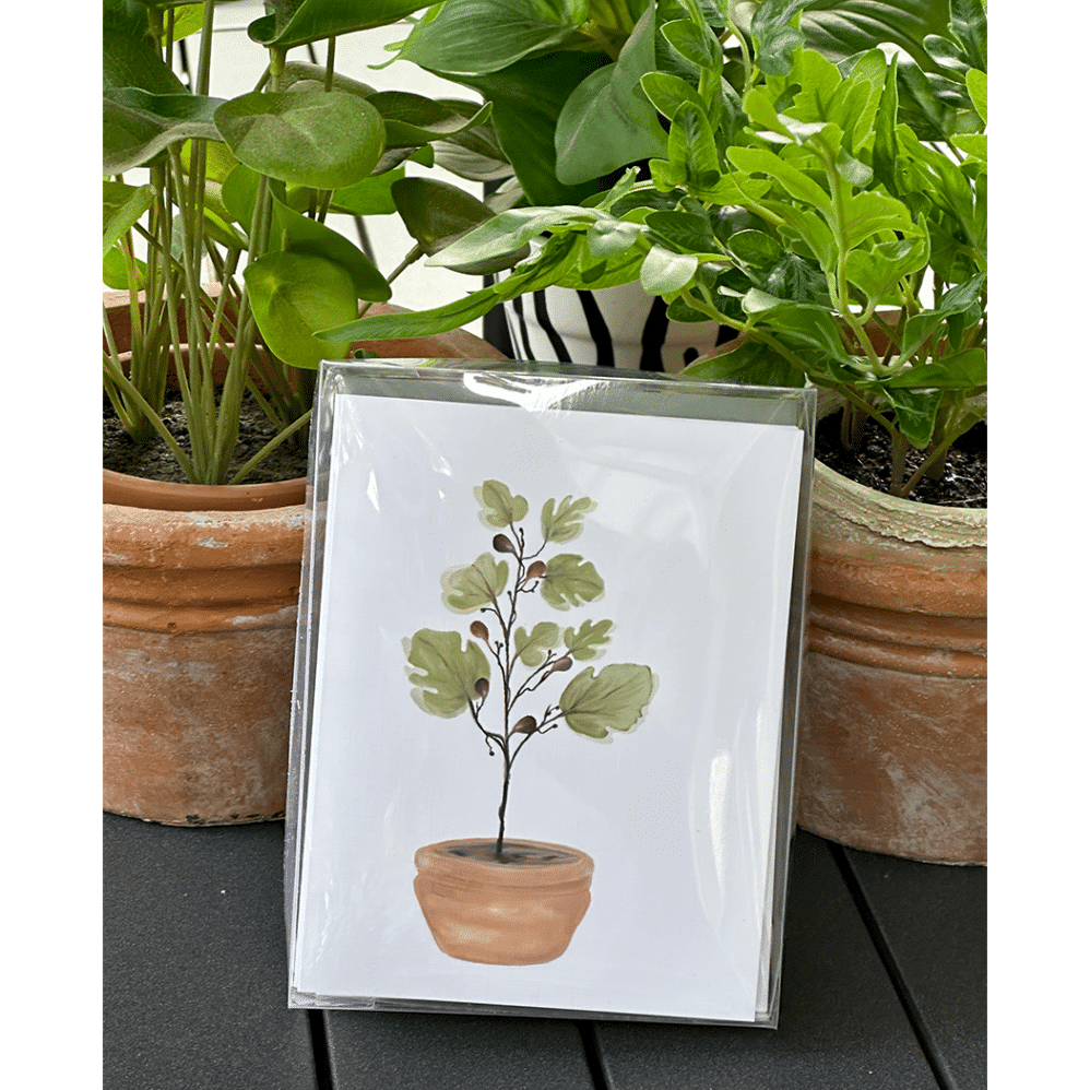 fig tree note cards box