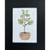 fig tree in a clay pot matted print