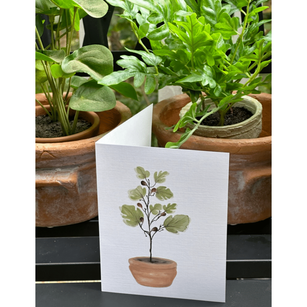 fig tree note cards