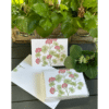 geranium extended note card and box