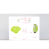 3 different designed golf note cards; a golf green with a pink and white flag, pink golf shoes and a pink and green golf bag with a pink golf club
