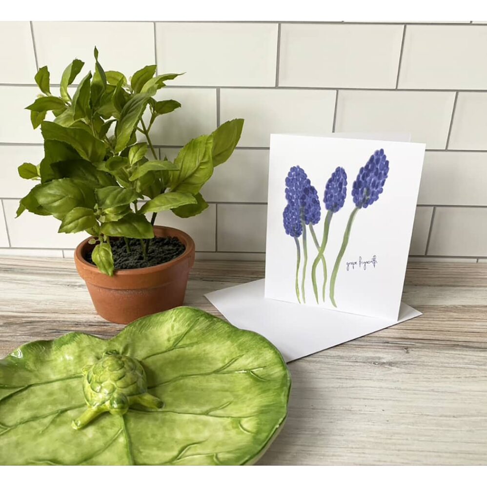 grape hyacinth note cards