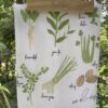 green herbs flour sack towel