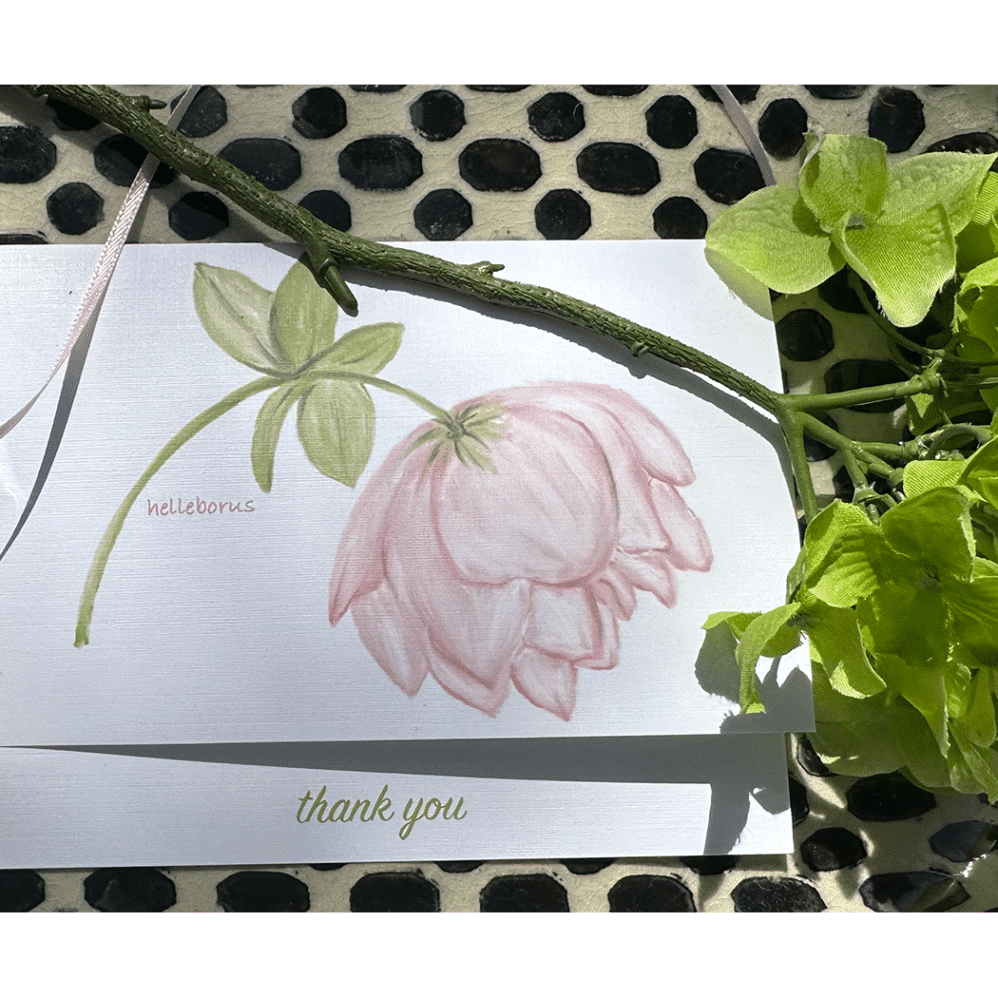 helleborus card