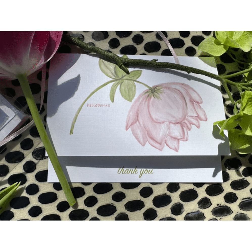 helleborus note card