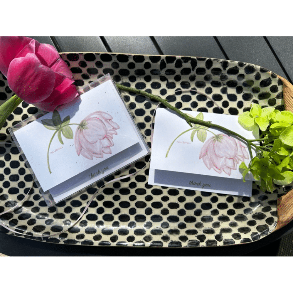 helleborus note card and box