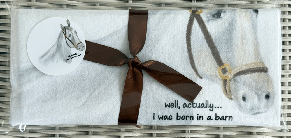 horse born in a barn wrapped