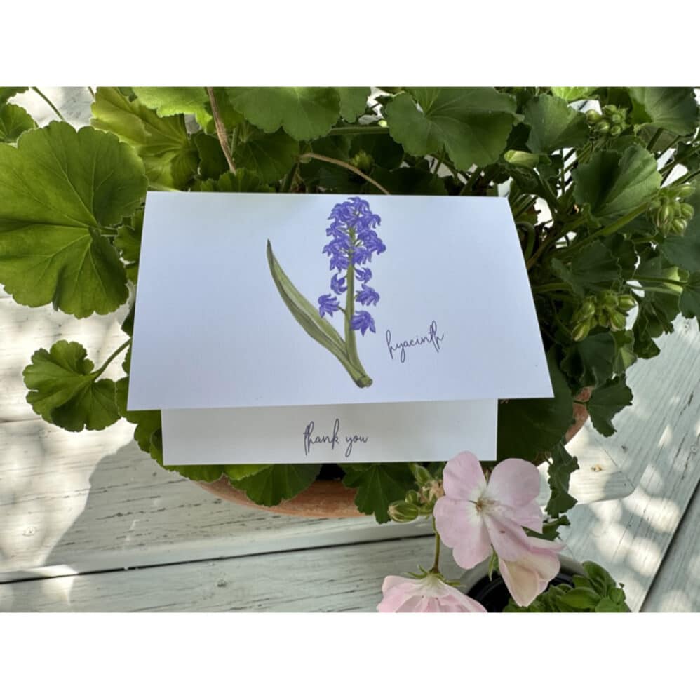 hyacinth card