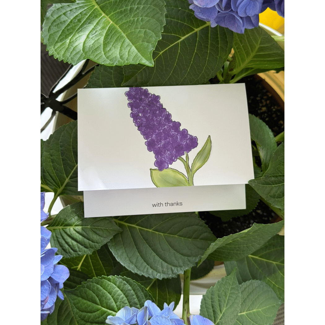 hyacinth thank you note card