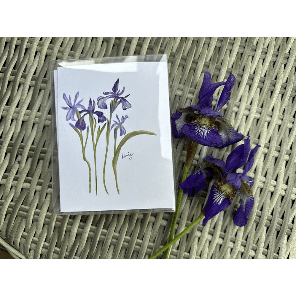 iris note card box