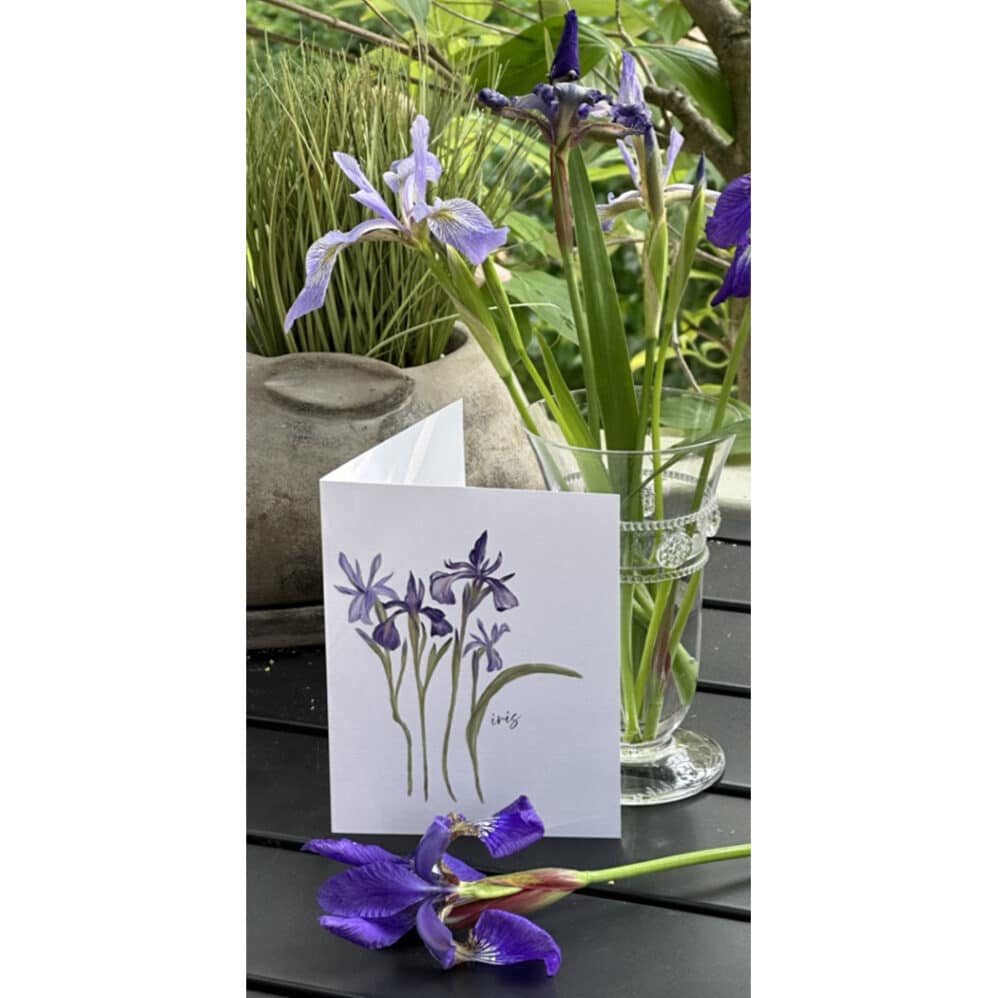 iris note card