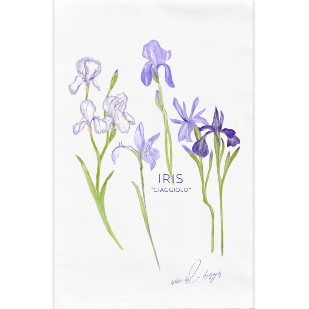 lavender shades of iris with the word giagiolo which is Italian for Iris