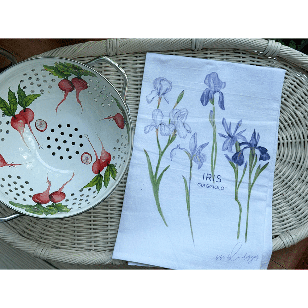 iris giaggiolo radish