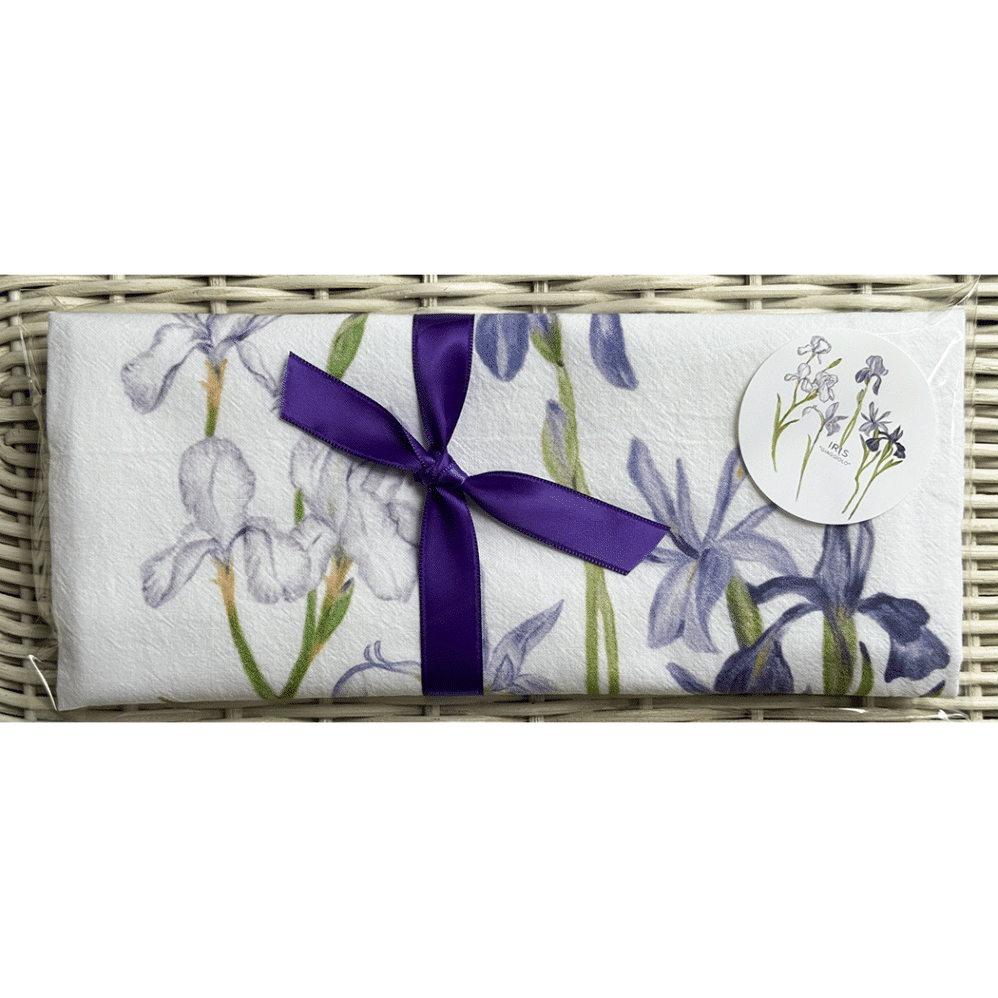 iris giaggiolo wrapped