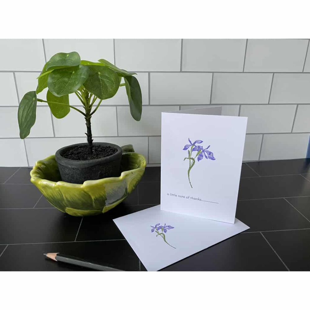 japanese iris petite note cards