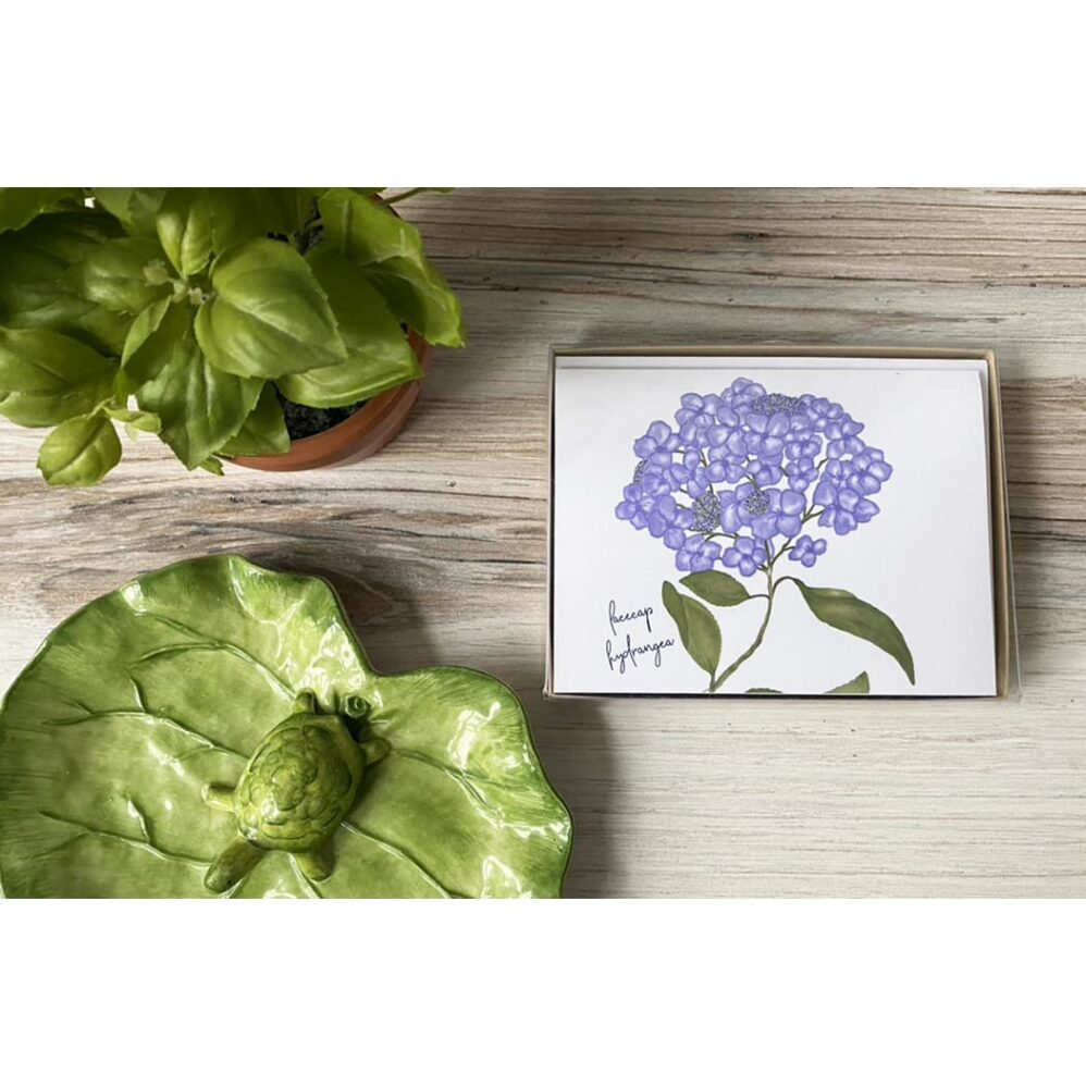 lacecap hydrangea note card box