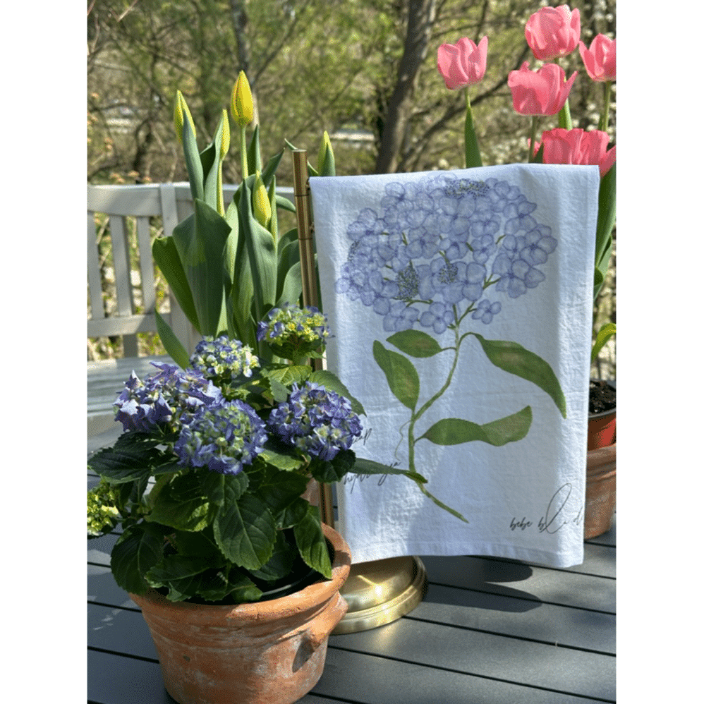 lacecap hydrangea flour sack towel outside